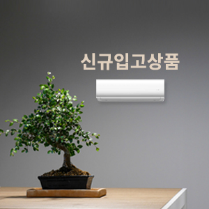 �ű��԰���ǰ